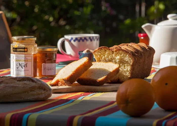 L'oranger 3* 佩皮尼昂